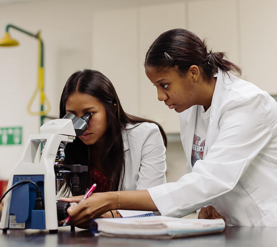生物学和健康科学的学生在实验室里用显微镜观察